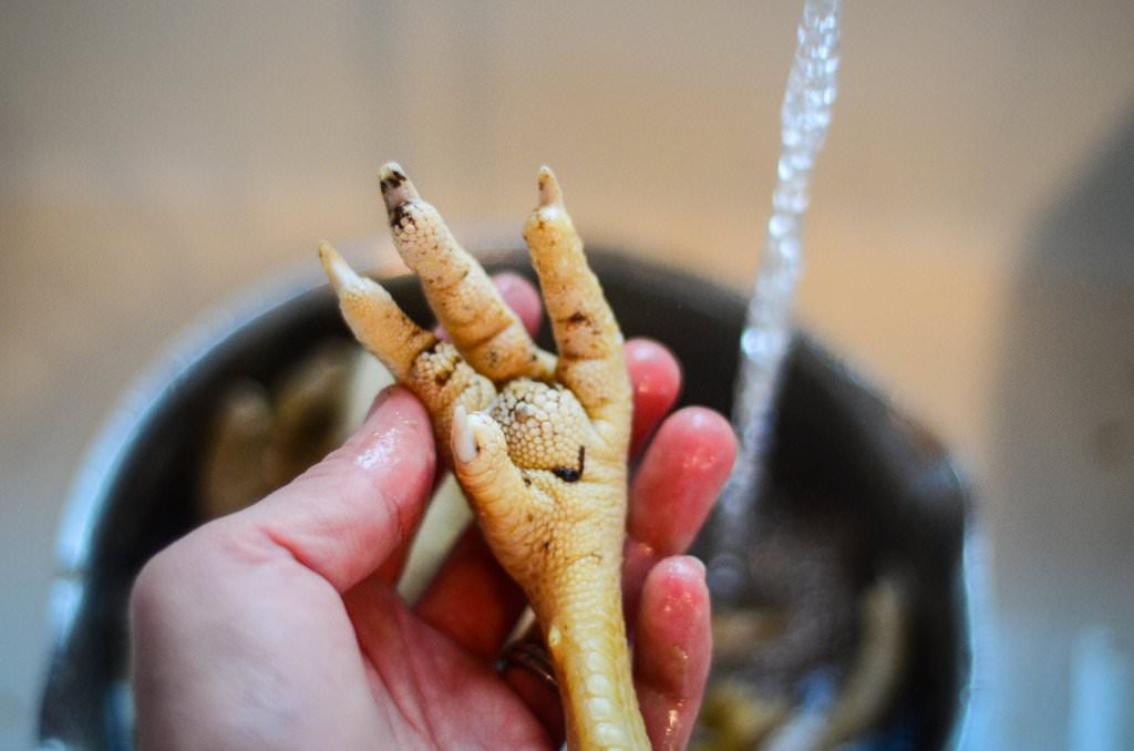 Chicken Feet: Why you need them in your diet and how to ...