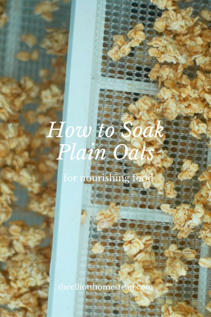 How to Soak Plain Oats