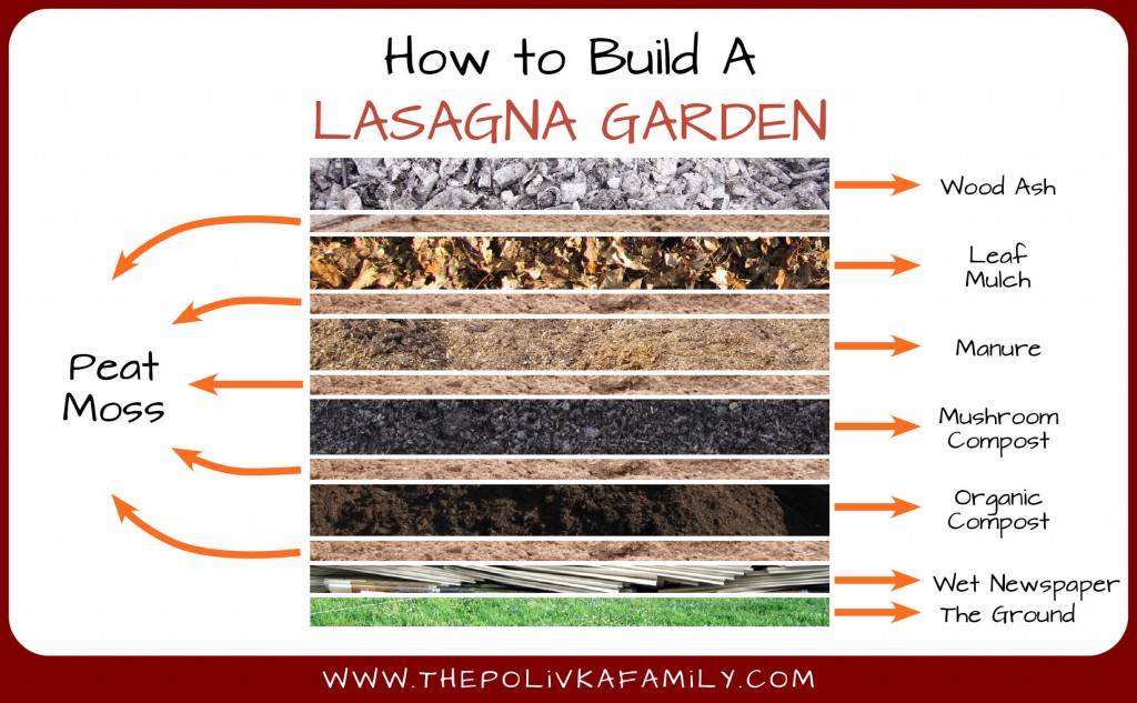 Lasagna-Garden-1024x633