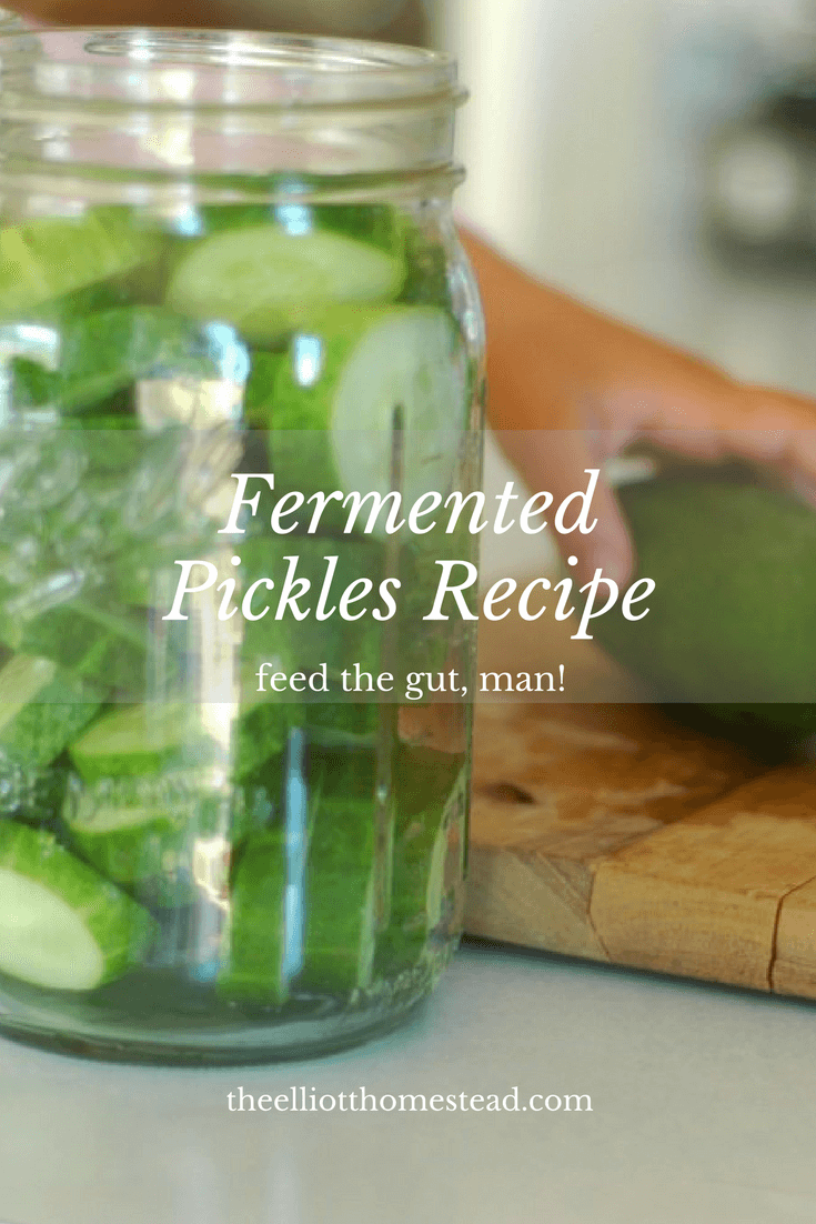 Fermented Pickles Recipe 