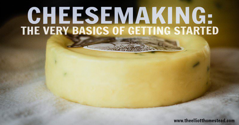 Cheesemaking: The Very Basics of Getting Started