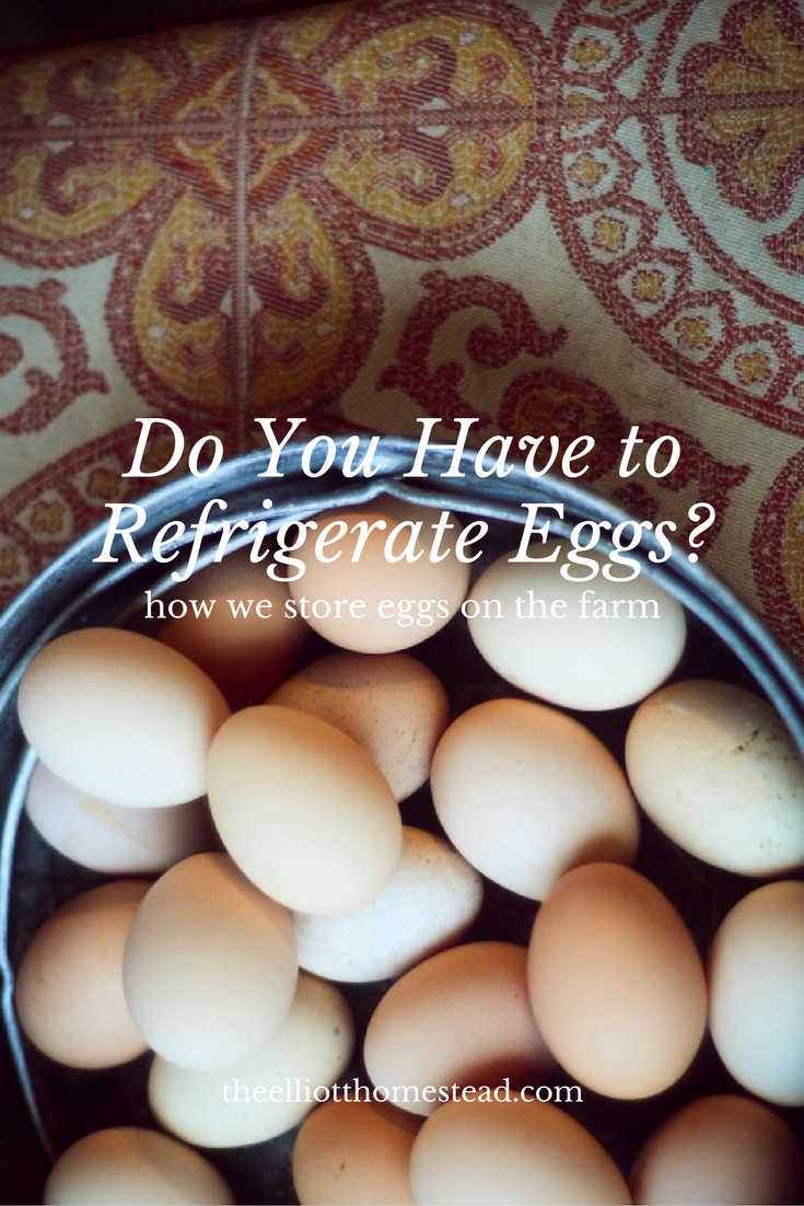 Do you have to refrigerate eggs? (How I store eggs on the farm)