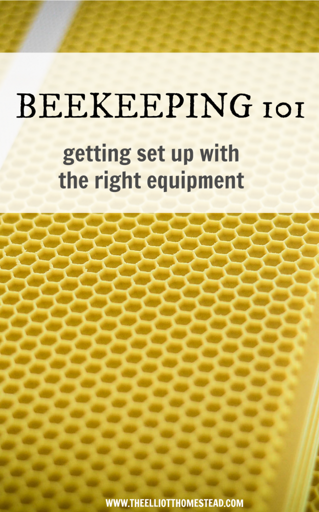 Beekeeping 101: getting set up with the right equipment
