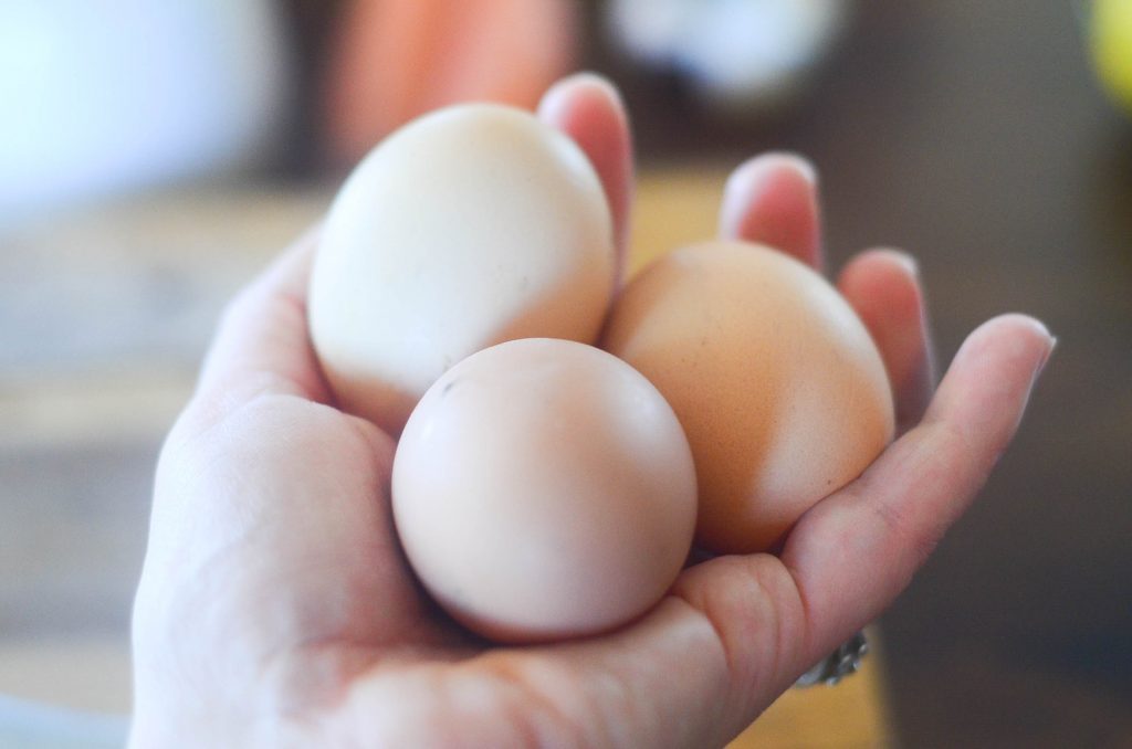 hand holding three fresh eggs