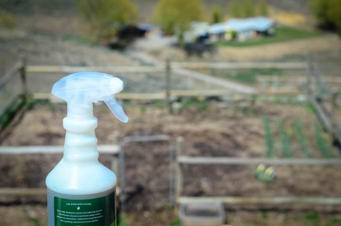 Organic Garden Bug Spray Recipe | The Elliott Homestead (.com)