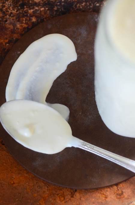Homemade Sour Cream | The Elliott Homestead (.com)