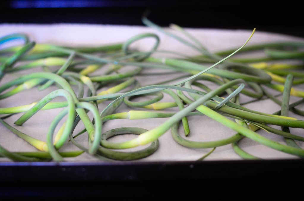 Roasted Garlic Scapes with Parmesan | The Elliott Homestead (.com)