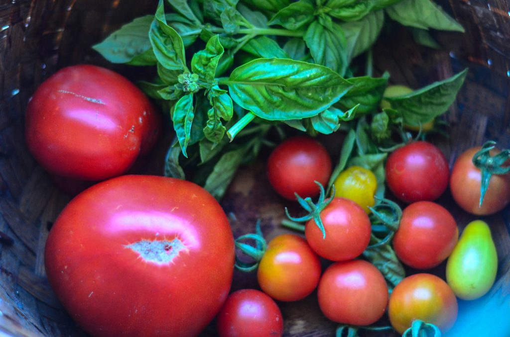 Fresh garden tomatoes | The Elliott Homestead (.com)