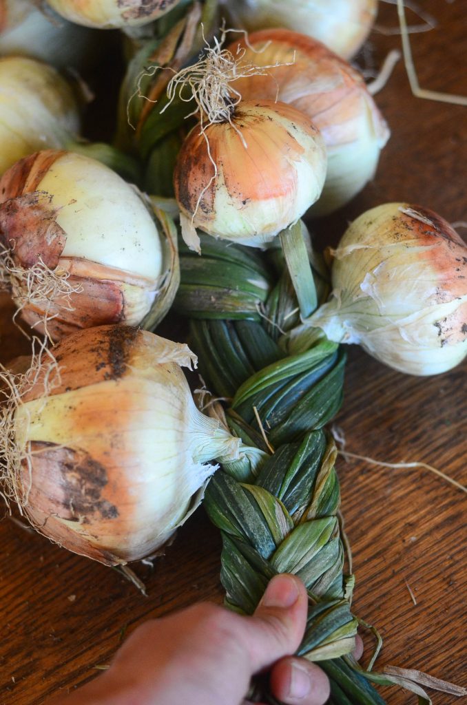 How to braid onions, Step 4