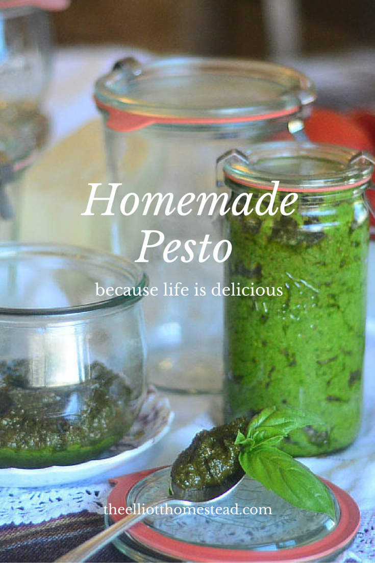 Homemade Pesto Recipe
