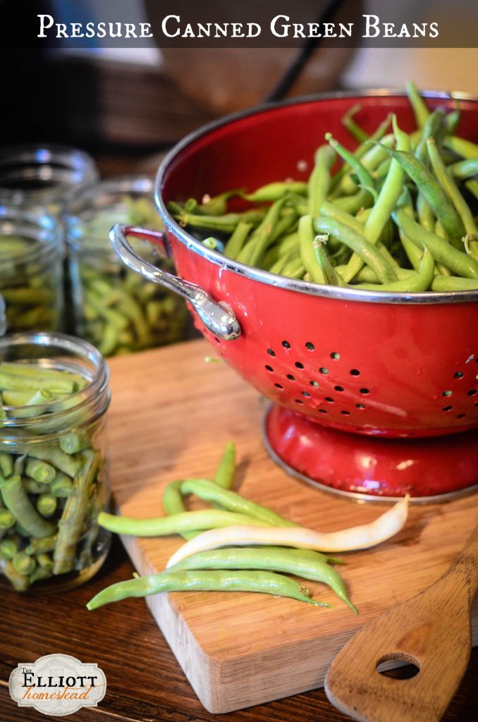 Pressure Canned Green Beans | The Elliott Homestead (.com)