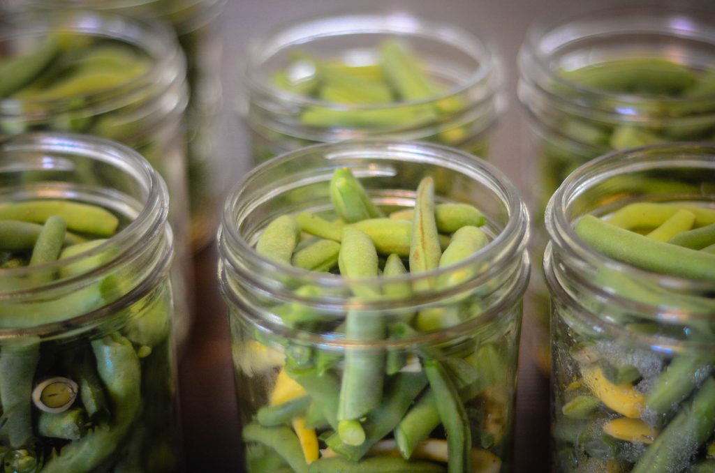 Pressure Canned Green beans in pint jars | The Elliott Homestead (.com)