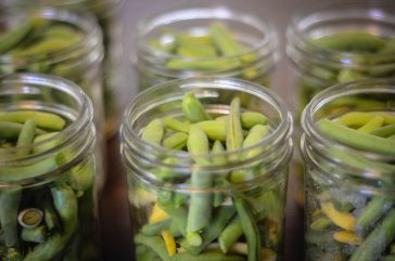 Pressure Canned Green Beans - Shaye Elliott