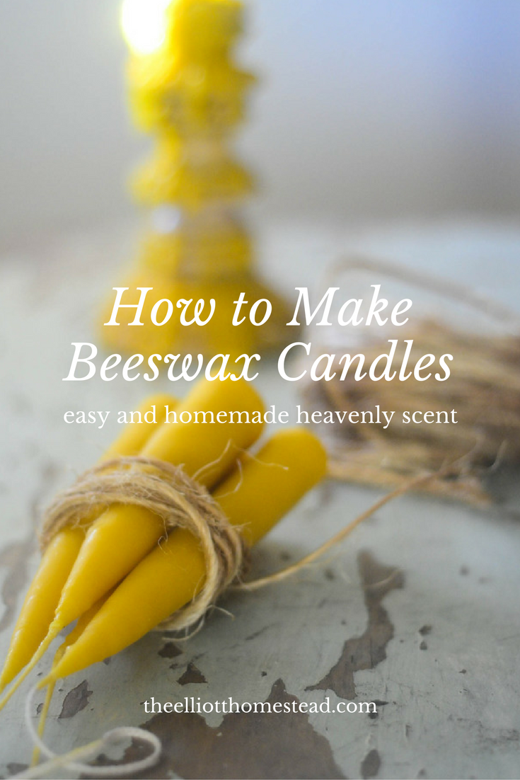 How To Make Beeswax Candles - Shaye Elliott