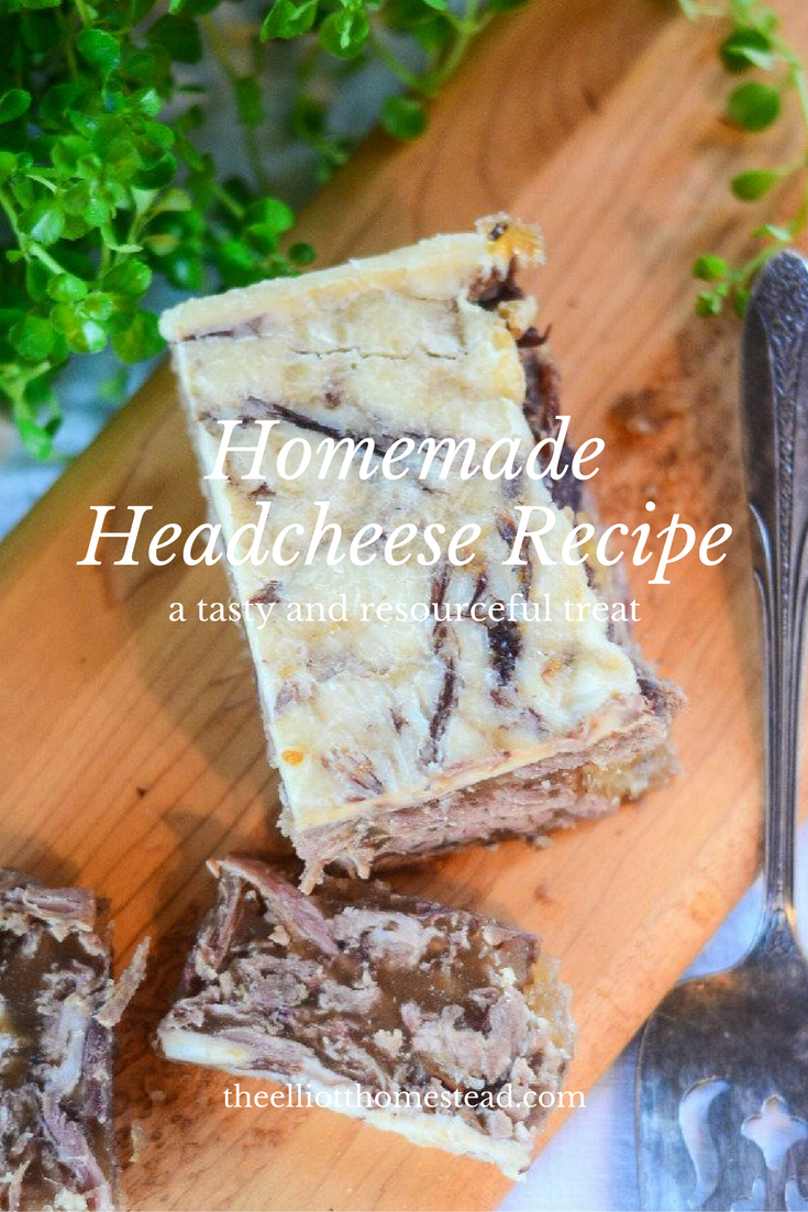 homemade-headcheese-recipe