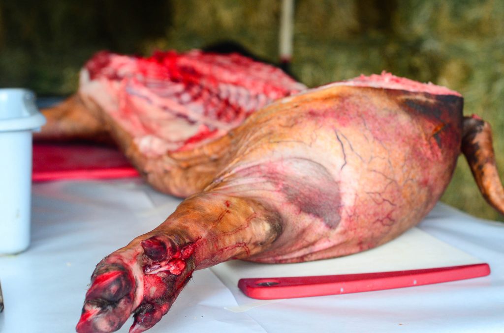Butchering a pig | The Elliott Homestead