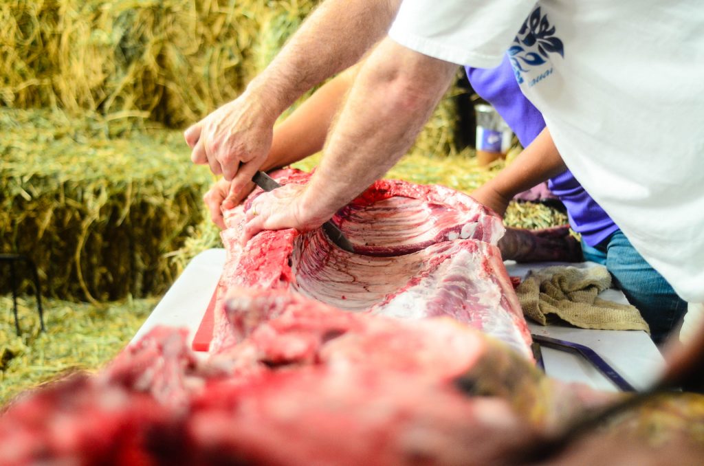 Butchering a Pig: Separating into the four main parts | The Elliott Homestead