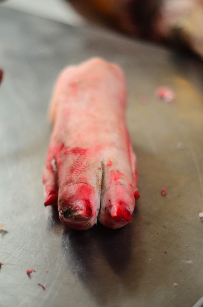 Butchering a Pig: Trotter bound for stock | The Elliott Homestead