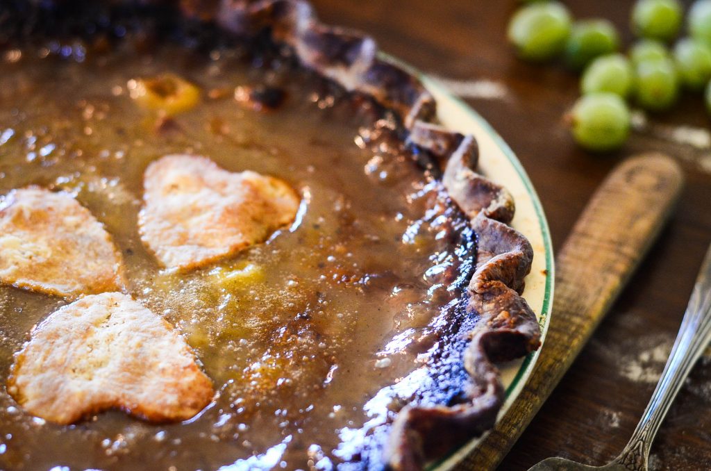 Honey Sweetened Gooseberry Pie | The Elliott Homestead
