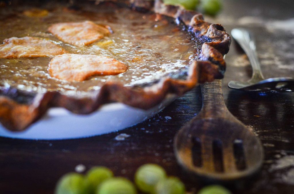 Gooseberry and Rhubarb Pie (sweetened with honey!) | The Elliott Homestead