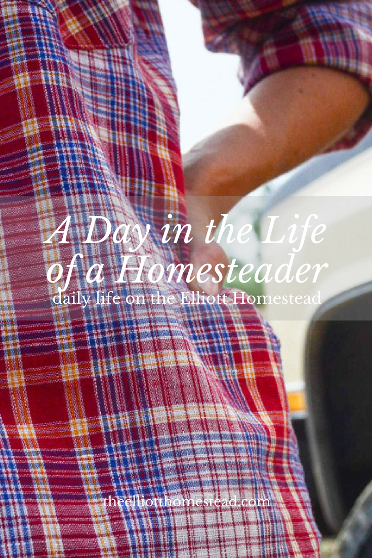 A Day in the Life of a Homesteader