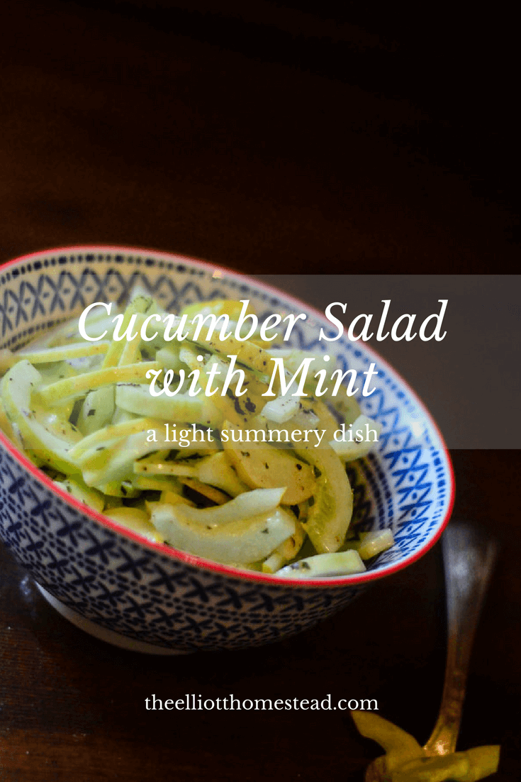 Cucumber Salad with Mint | The Elliott Homestead