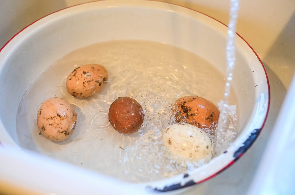 2. Use warm water to loosen the poo and scrub off with a sponge | The Elliott Homestead