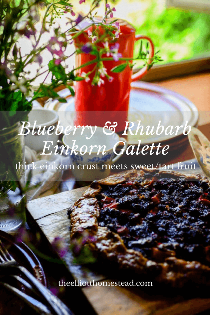 Blueberry & Rhubarb Galette | The Elliott Homestead (.com) 