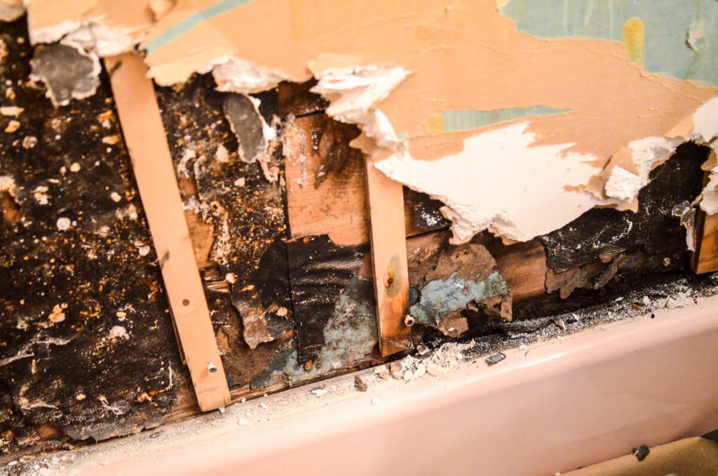 Farmhouse Bathroom Demolition | The Elliott Homestead