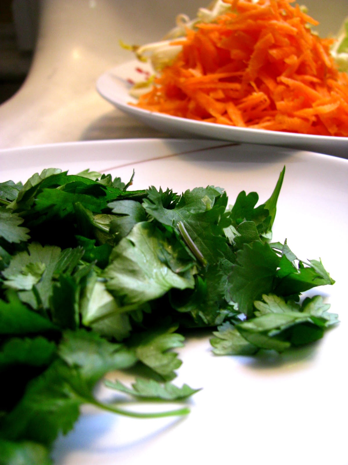 Vegetable Spring Rolls - Cilantro and Citronella