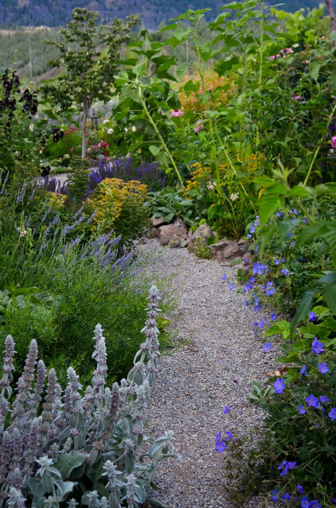 Cottage Garden in Summer | The Elliott Homestead