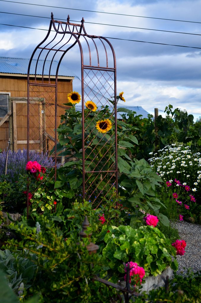 Cottage Garden in Summer | The Elliott Homestead