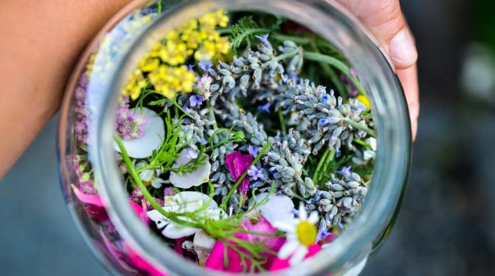 Outlander herbal salve | The Elliott Homestead (.com)
