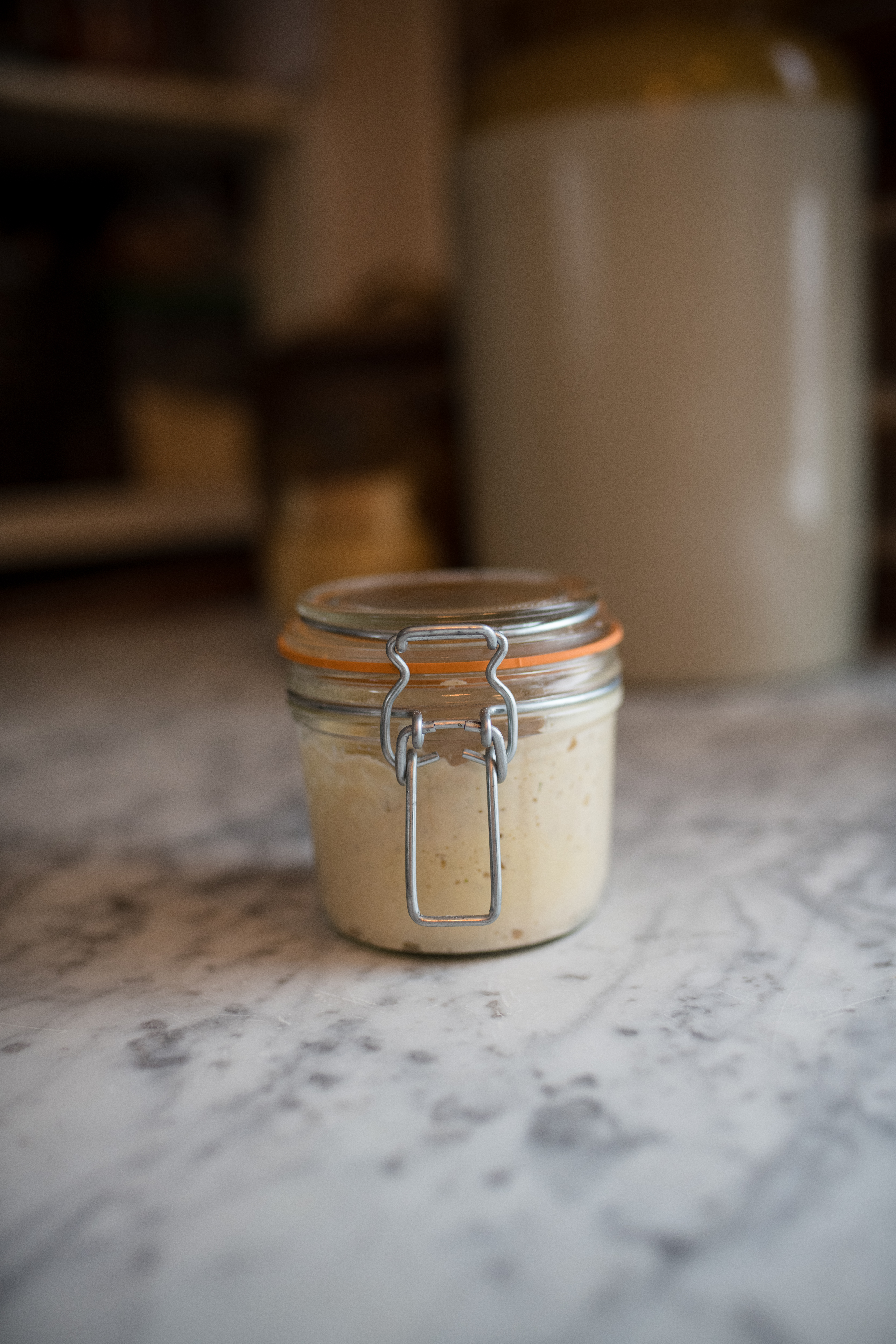 The Best Jar For Your Sourdough Starter