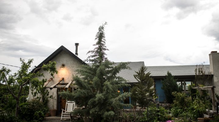 Come tour my cottage gardens! | The Elliott Homestead (.com)