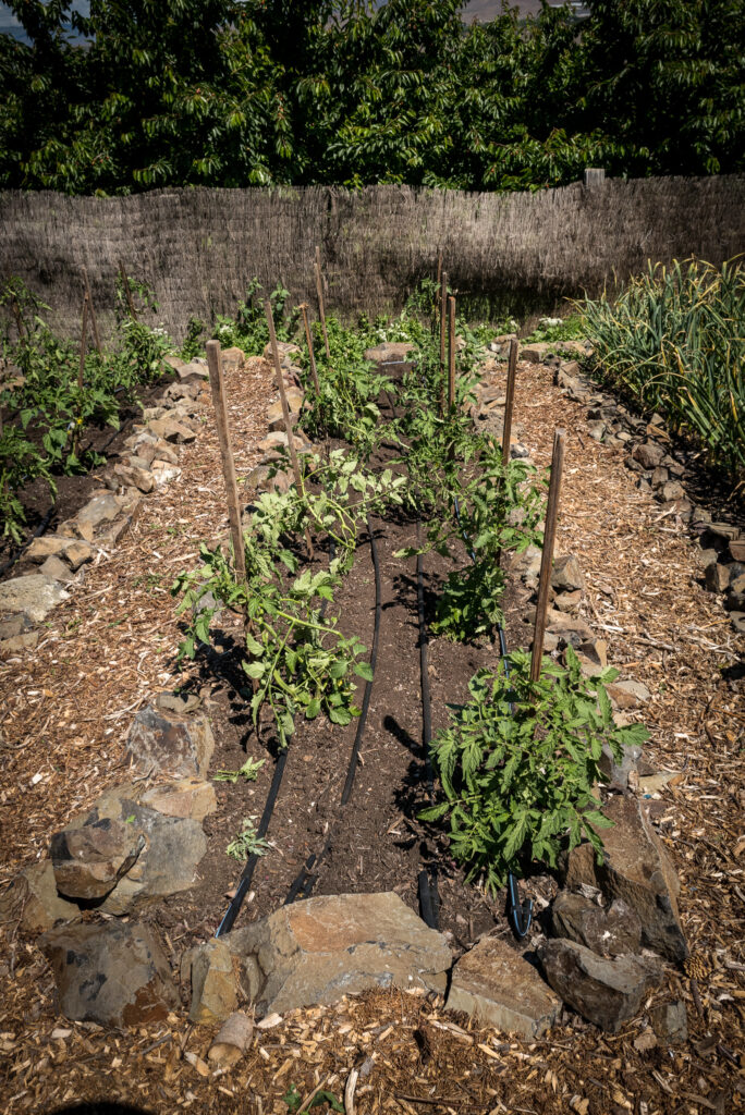 Garden goals | The Elliott Homestead (.com)