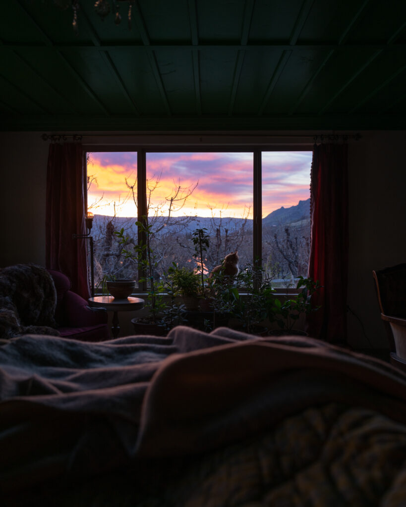 Leica Sunrise | The Elliott Homestead (.com)