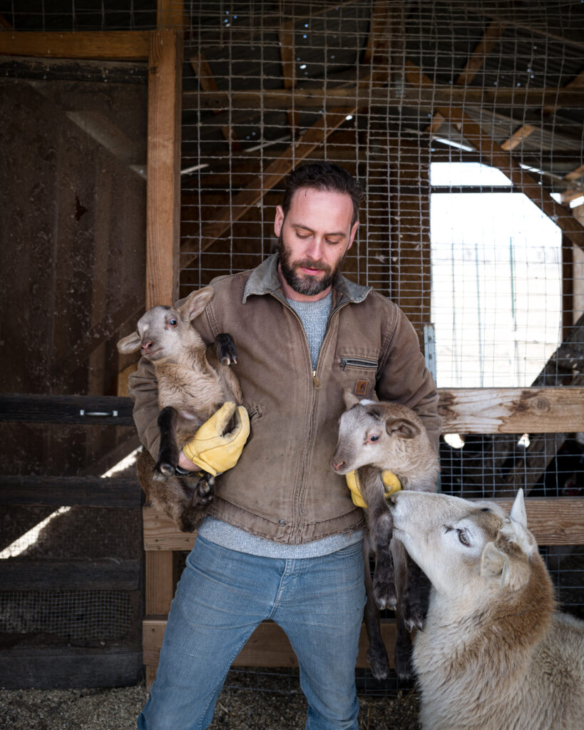Lambing season | The Elliott Homestead (.com)